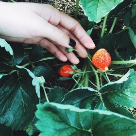 Tiến Đạt Tourist 