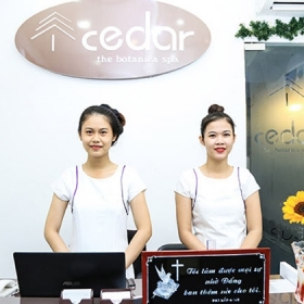 Cedar - The Botanica Spa 