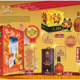 Showroom Sâm Ngọc Linh