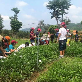 ORCHARD NAM CAT TIEN RESORT