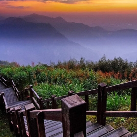 Gió Nhẹ Miền Nam Quốc Tế