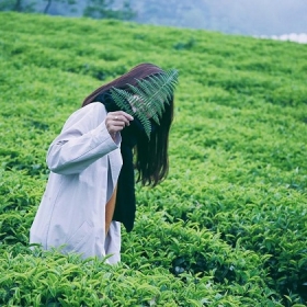 CÔNG TY TNHH DV VÀ DU LỊCH BỐN BẠN