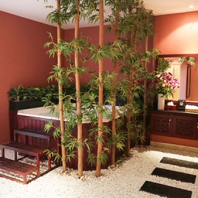 Thẩm Mỹ Thu Cúc Sài Gòn