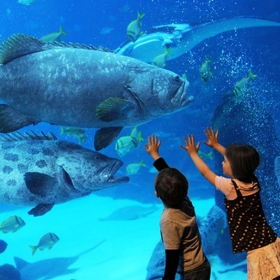 Vinpearl Land Aquarium