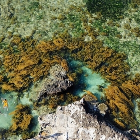 Quảng Ngãi Travel