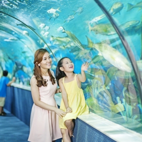 VinKE & Aquarium Times City