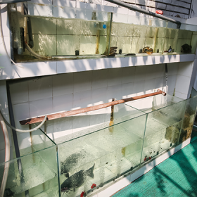 Nhà hàng Vịnh hải sản