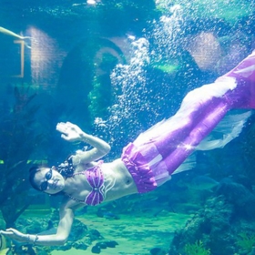 Vinpearl Land Aquarium