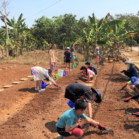 ORCHARD NAM CAT TIEN RESORT