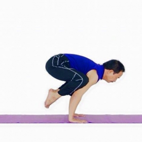 LỚP HỌC ĐÀO TẠO YOGA