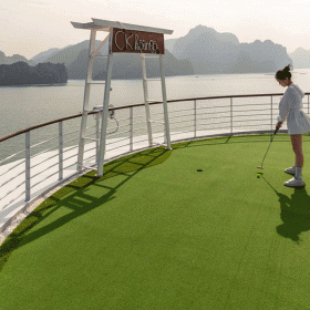 CÔNG TY CỔ PHẦN ĐẦU TƯ VIỆT STAR CRUISE