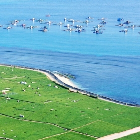 Quảng Ngãi Travel