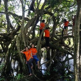 ORCHARD NAM CAT TIEN RESORT