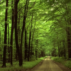 ORCHARD NAM CAT TIEN RESORT