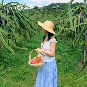 Vé tham quan khám phá La Pitaya Valley			