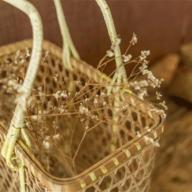 Khách sạn Sen Sài Gòn 2