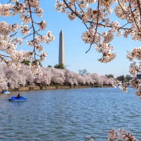 Lạc Việt Travel HCM