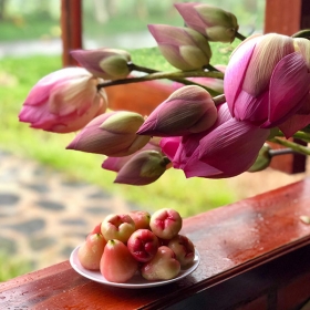 ORCHARD NAM CAT TIEN RESORT