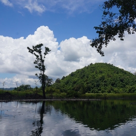 ORCHARD NAM CAT TIEN RESORT