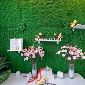 Thẩm mỹ quốc tế Hoa Kỳ