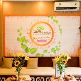 Mầm Gạo Spa old