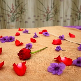 Dưỡng Sinh Đông Y DDS K&L