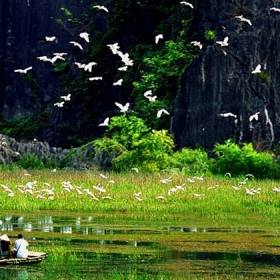 Kinh Bắc Tourism old
