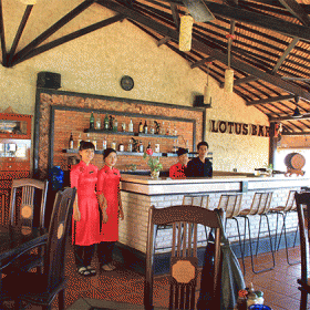 Lotus Village Resort