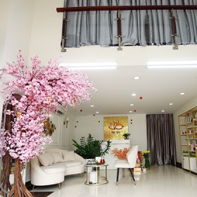 Việt Nhật Beauty Town