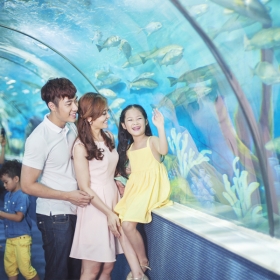 VinKE & Aquarium Times City