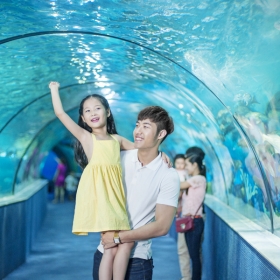 VinKE & Aquarium Times City