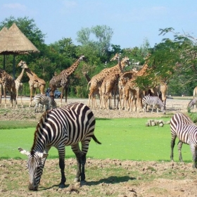 Công ty Du Lịch Việt Sun