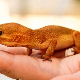 Khu vui chơi Chú Voi Con