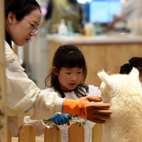 Khu vui chơi Chú Voi Con