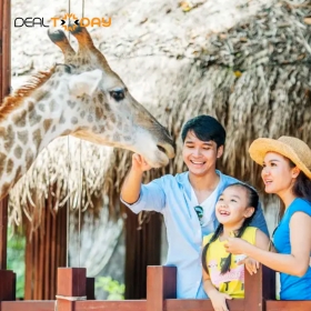 Khu vui chơi Safari Cafe - Vé vui chơi dành cho trẻ em