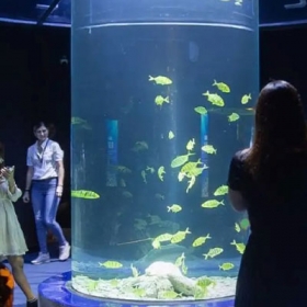 Thuỷ Cung Lotte World  Aquarium Hà Nội