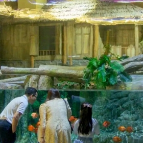 Thuỷ Cung Lotte World  Aquarium Hà Nội