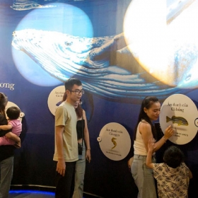 Thuỷ Cung Lotte World  Aquarium Hà Nội
