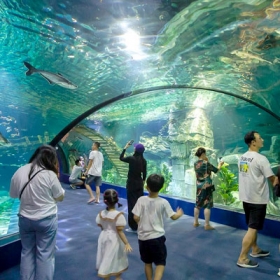 Thuỷ Cung Lotte World  Aquarium Hà Nội