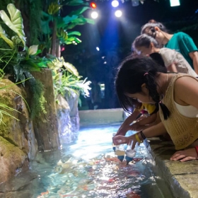 Thuỷ Cung Lotte World  Aquarium Hà Nội