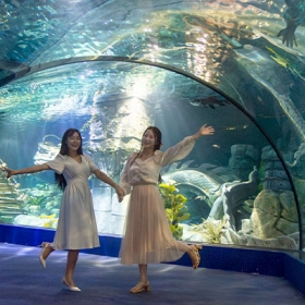 Thuỷ Cung Lotte World  Aquarium Hà Nội