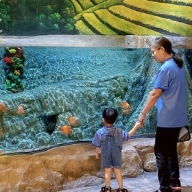 Thuỷ Cung Lotte World  Aquarium Hà Nội