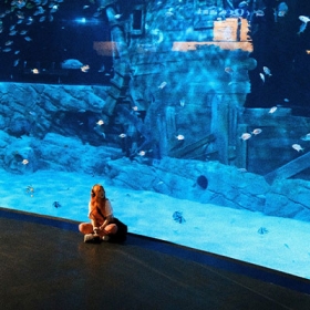 Thuỷ Cung Lotte World  Aquarium Hà Nội