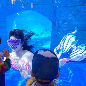 Thuỷ Cung Lotte World  Aquarium Hà Nội