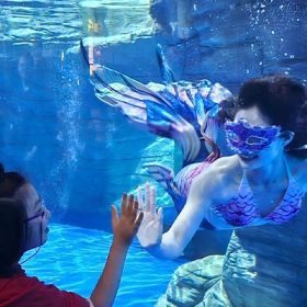 Thuỷ Cung Lotte World  Aquarium Hà Nội