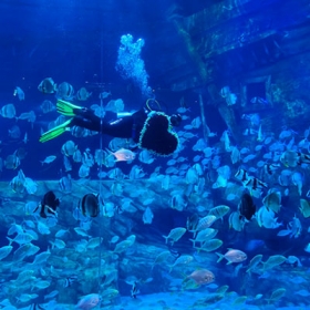 Thuỷ Cung Lotte World  Aquarium Hà Nội