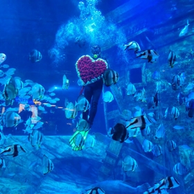 Thuỷ Cung Lotte World  Aquarium Hà Nội