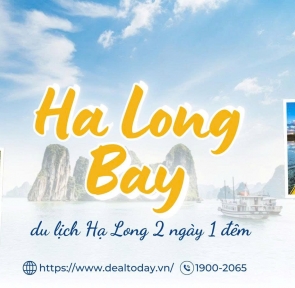 Check-in Hạ Long 2 Ngày 1 Đêm Nên Đặt Phòng Trước Ở Đâu?