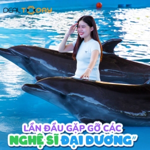 Danang Dophilnarium - Show Cá Heo & Hải Cẩu: Vũ Điệu Đại Dương	