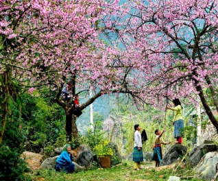 Du lịch T&T Toàn Cầu